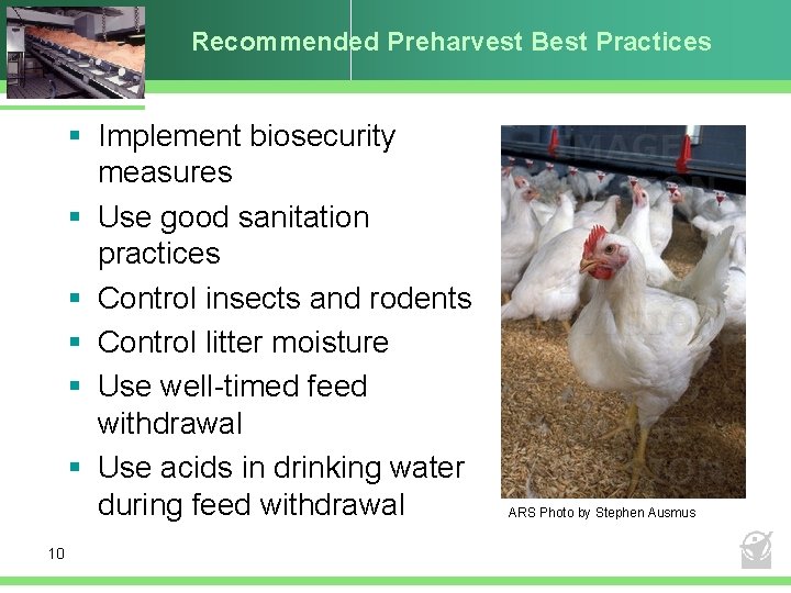 Recommended Preharvest Best Practices § Implement biosecurity measures § Use good sanitation practices §