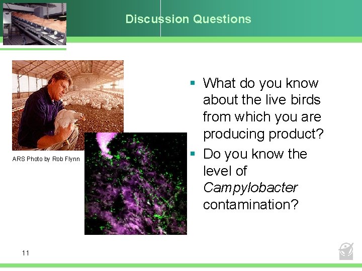 Discussion Questions ARS Photo by Rob Flynn 11 § What do you know about