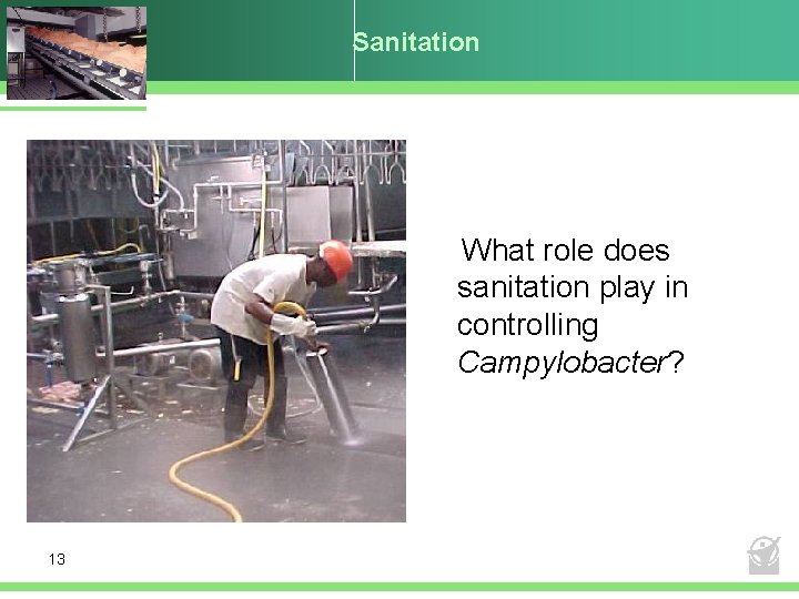 Sanitation What role does sanitation play in controlling Campylobacter? 13 
