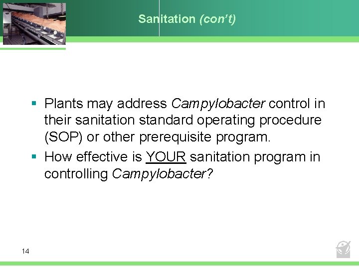 Sanitation (con’t) § Plants may address Campylobacter control in their sanitation standard operating procedure