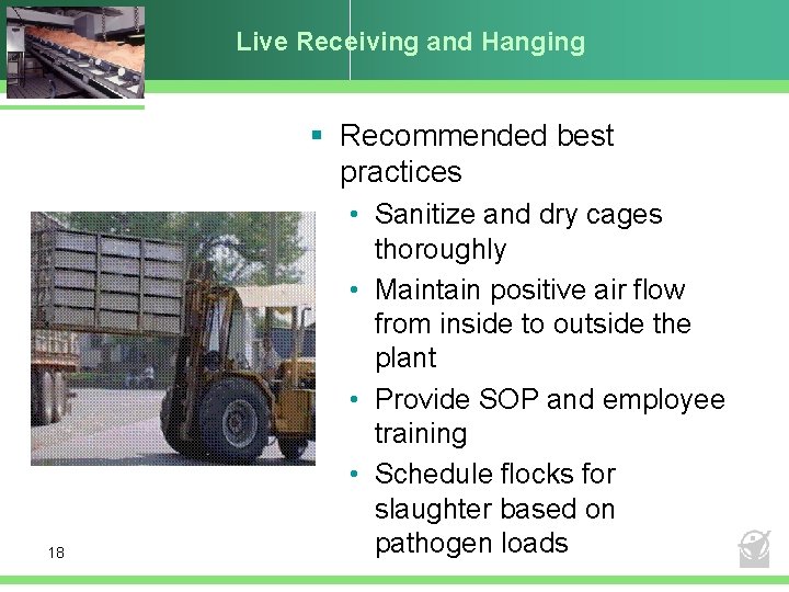 Live Receiving and Hanging § Recommended best practices 18 • Sanitize and dry cages