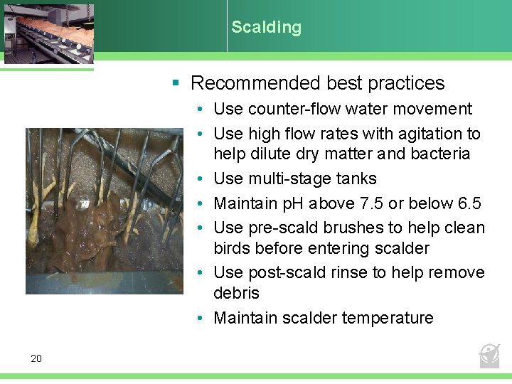 Scalding § Recommended best practices • Use counter-flow water movement • Use high flow
