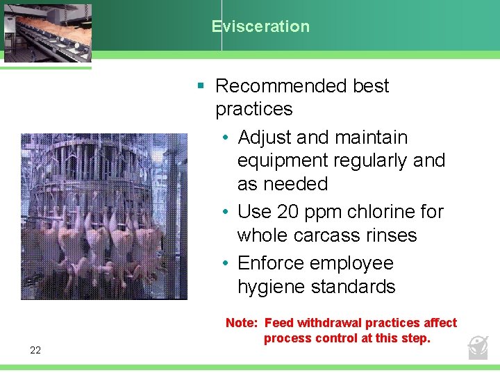 Evisceration § Recommended best practices • Adjust and maintain equipment regularly and as needed