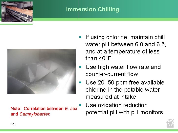 Immersion Chilling Note: Correlation between E. coli and Campylobacter. 24 § If using chlorine,