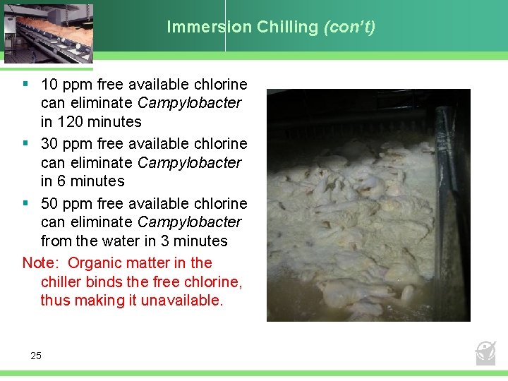 Immersion Chilling (con’t) § 10 ppm free available chlorine can eliminate Campylobacter in 120
