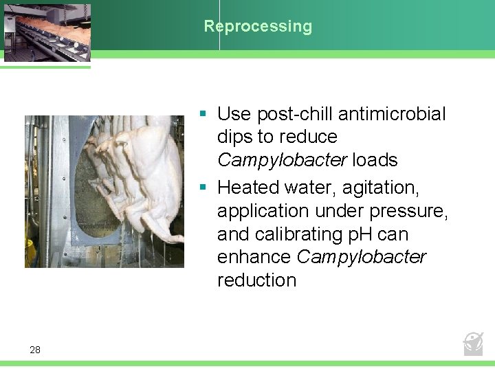 Reprocessing § Use post-chill antimicrobial dips to reduce Campylobacter loads § Heated water, agitation,