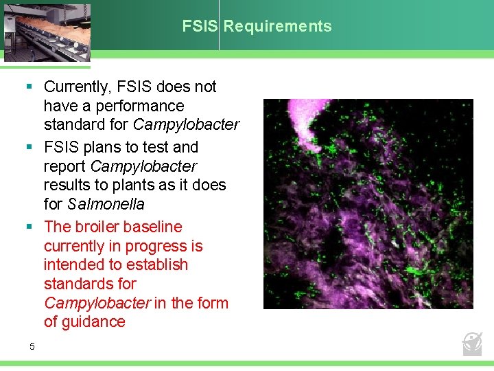 FSIS Requirements § Currently, FSIS does not have a performance standard for Campylobacter §