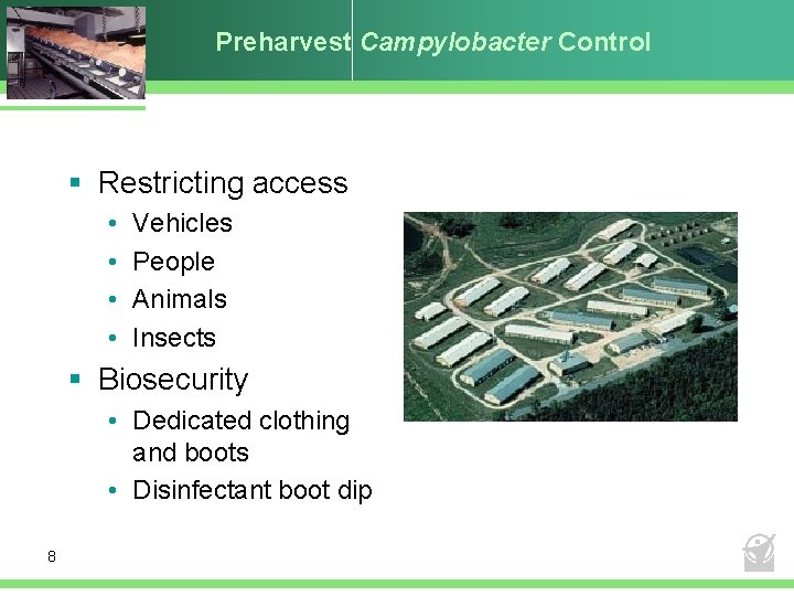 Preharvest Campylobacter Control § Restricting access • • Vehicles People Animals Insects § Biosecurity