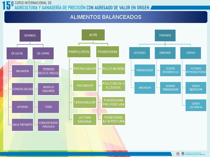 ALIMENTOS BALANCEADOS AVES PARRILLEROS PONEDORAS PREINICIADOR POLLITAS BEBE INICIADOR POLLITAS DE 6 A 15