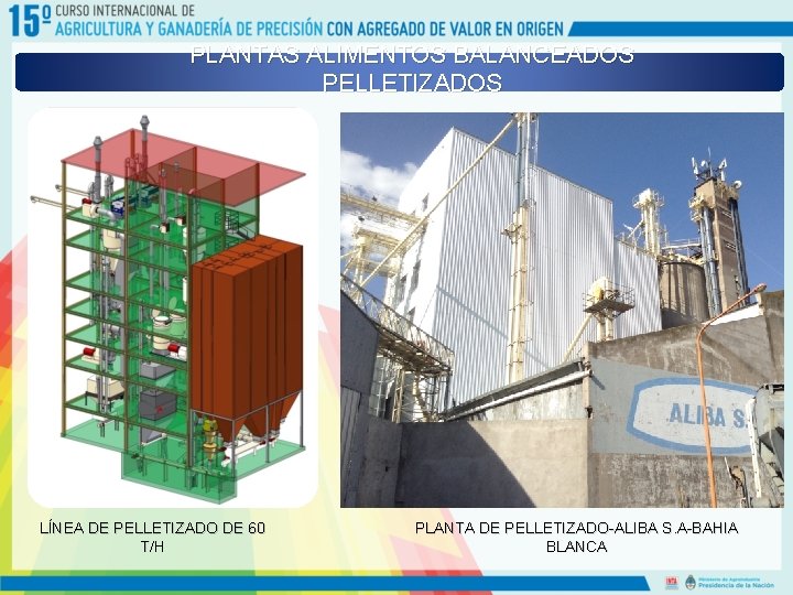 PLANTAS ALIMENTOS BALANCEADOS PELLETIZADOS LÍNEA DE PELLETIZADO DE 60 T/H PLANTA DE PELLETIZADO-ALIBA S.