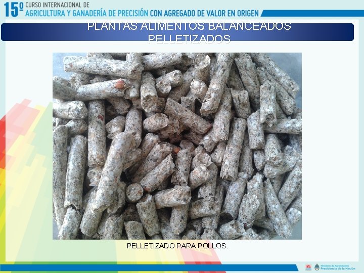 PLANTAS ALIMENTOS BALANCEADOS PELLETIZADO PARA POLLOS. 