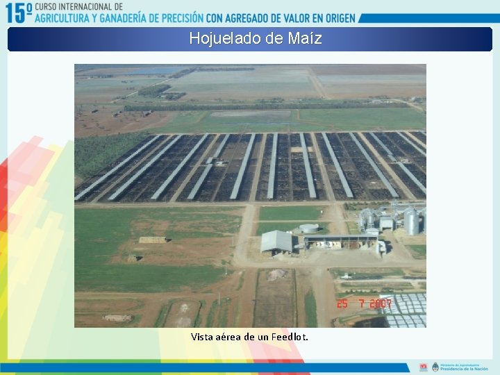 Hojuelado de Maíz Vista aérea de un Feedlot. 