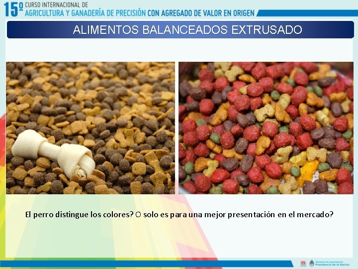 ALIMENTOS BALANCEADOS EXTRUSADO El perro distingue los colores? O solo es para una mejor