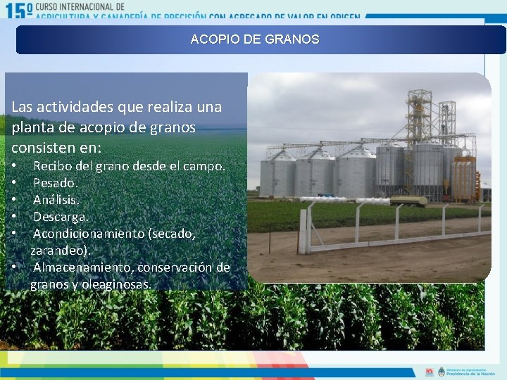 ACOPIO DE GRANOS Las actividades que realiza una planta de acopio de granos consisten