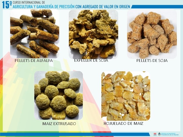 PELLETS DE ALFALFA EXPELLER DE SOJA MAIZ EXTRUSADO PELLETS DE SOJA HOJUELADO DE MAIZ