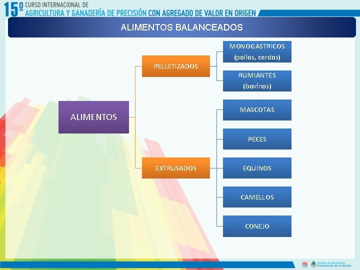 ALIMENTOS BALANCEADOS PELLETIZADOS MONOGASTRICOS (pollos, cerdos) RUMIANTES (bovinos) MASCOTAS ALIMENTOS PECES EXTRUSADOS EQUINOS CAMELLOS