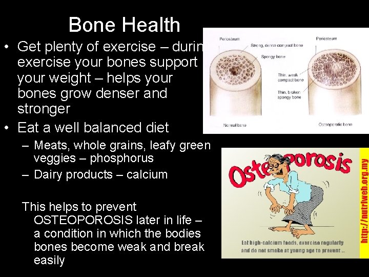 Bone Health • Get plenty of exercise – during exercise your bones support your