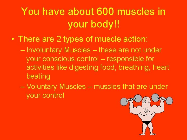 You have about 600 muscles in your body!! • There are 2 types of