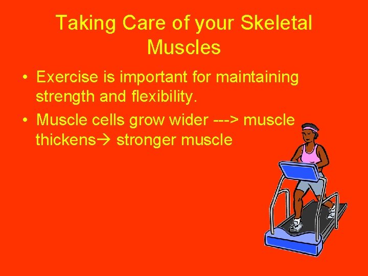 Taking Care of your Skeletal Muscles • Exercise is important for maintaining strength and