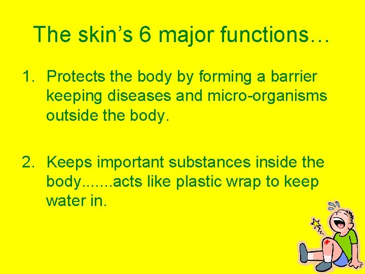 The skin’s 6 major functions… 1. Protects the body by forming a barrier keeping