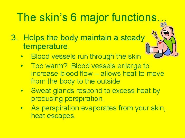 The skin’s 6 major functions… 3. Helps the body maintain a steady temperature. •