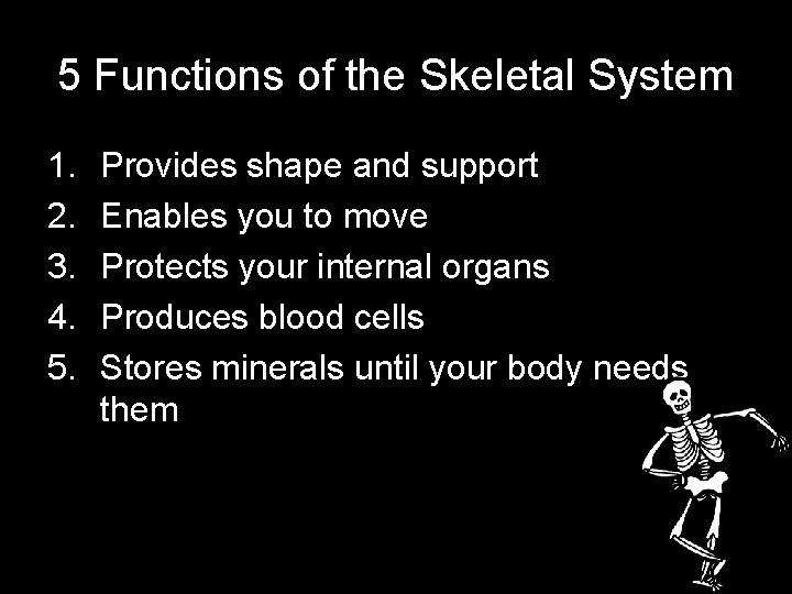 5 Functions of the Skeletal System 1. 2. 3. 4. 5. Provides shape and