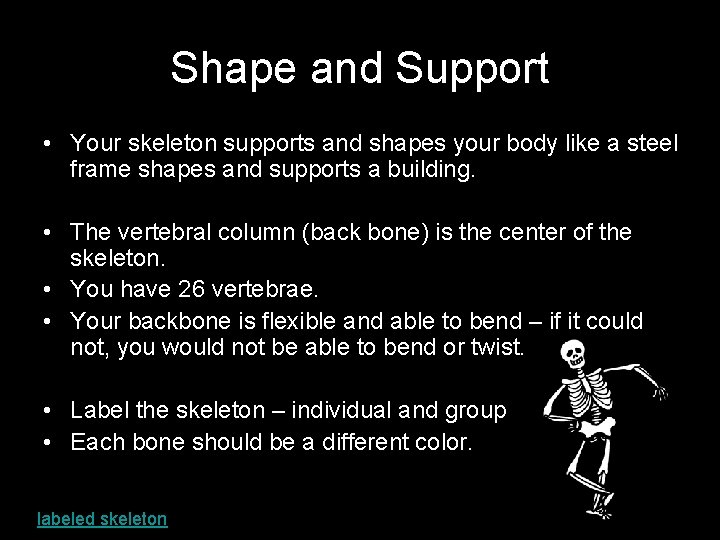 Shape and Support • Your skeleton supports and shapes your body like a steel