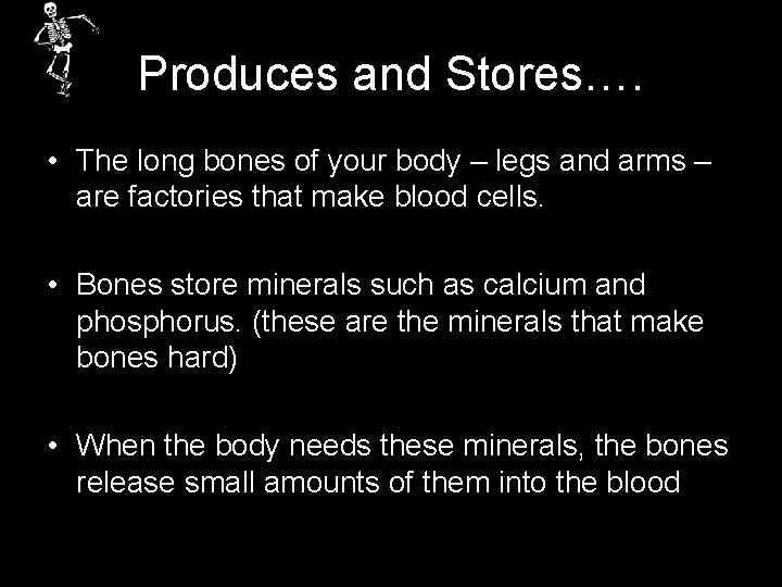 Produces and Stores…. • The long bones of your body – legs and arms