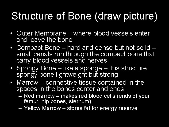 Structure of Bone (draw picture) • Outer Membrane – where blood vessels enter and