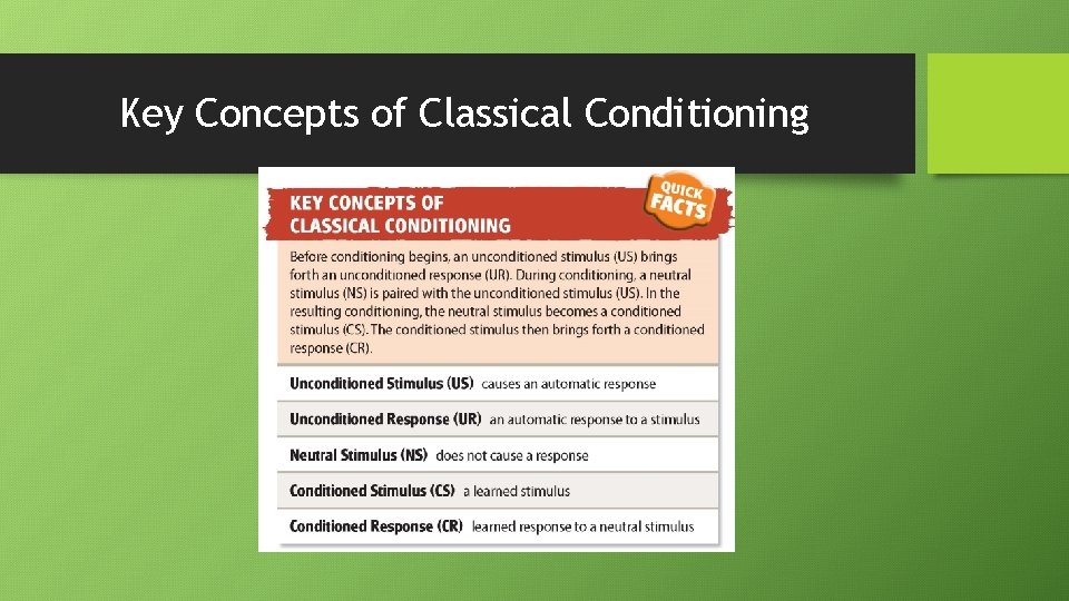 Key Concepts of Classical Conditioning 