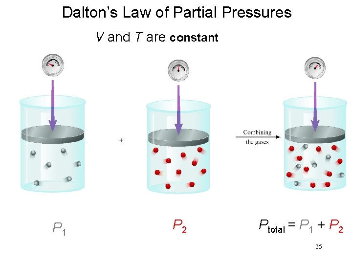 Dalton’s Law of Partial Pressures V and T are constant P 1 P 2