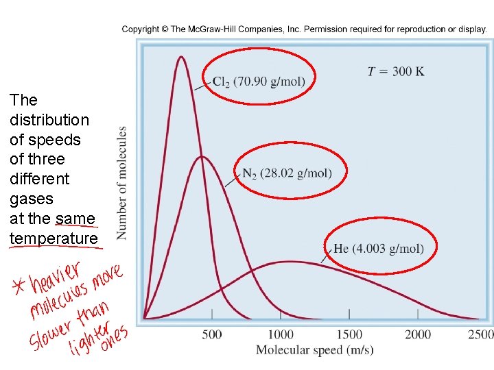 The distribution of speeds of three different gases at the same temperature 41 
