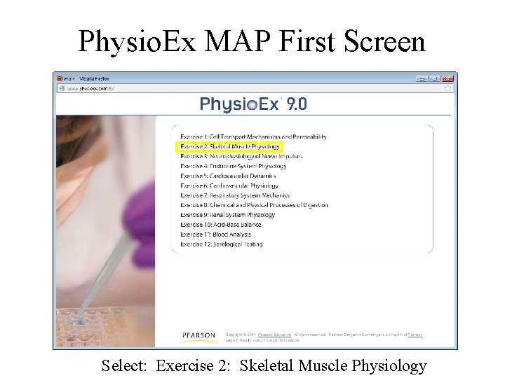 Physio. Ex MAP First Screen Select: Exercise 2: Skeletal Muscle Physiology Physio. Ex MAP First Screen Select: Exercise 2: Skeletal Muscle Physiology