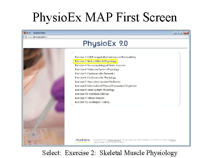 Physio. Ex MAP First Screen Select: Exercise 2: Skeletal Muscle Physiology 