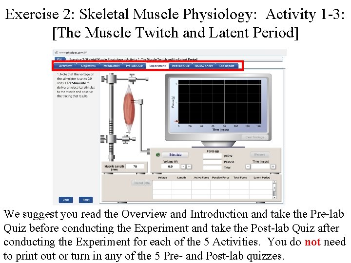 Exercise 2: Skeletal Muscle Physiology: Activity 1 -3: [The Muscle Twitch and Latent Period]