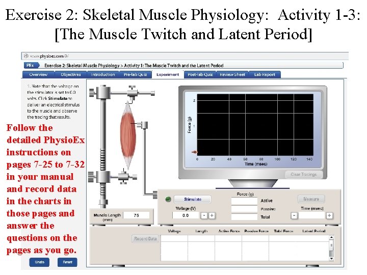 Exercise 2: Skeletal Muscle Physiology: Activity 1 -3: [The Muscle Twitch and Latent Period]