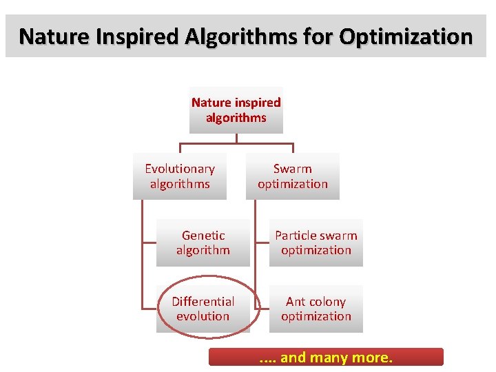 Nature Inspired Algorithms for Optimization Nature inspired algorithms Evolutionary algorithms Swarm optimization Genetic algorithm