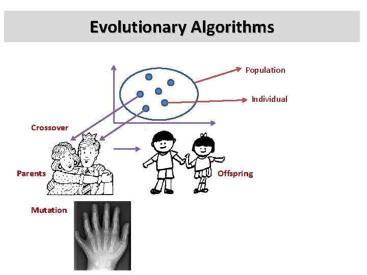 Evolutionary Algorithms Population Individual Crossover Parents Mutation Offspring 