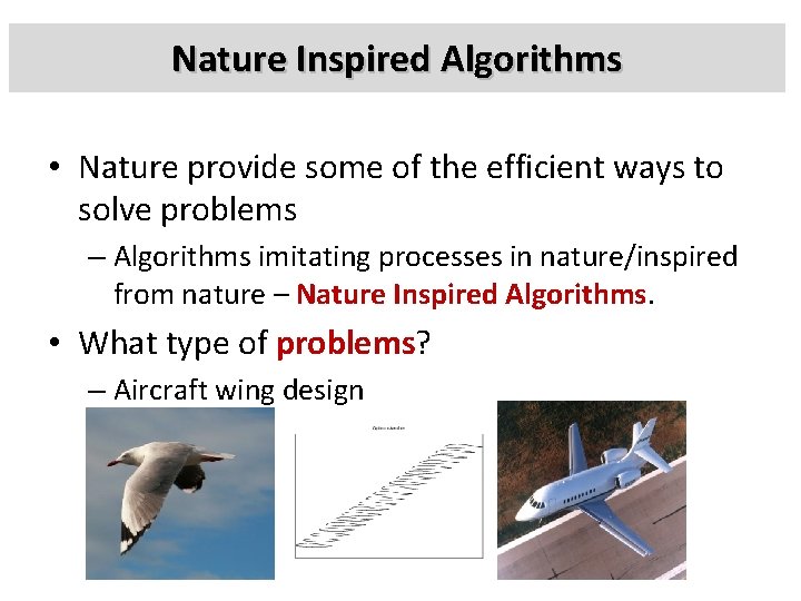 Nature Inspired Algorithms • Nature provide some of the efficient ways to solve problems