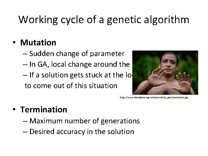 Working cycle of a genetic algorithm • Mutation – Sudden change of parameter –