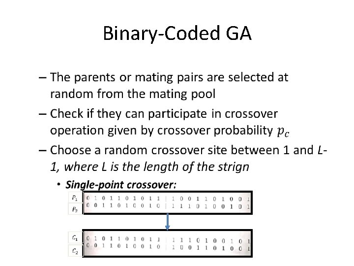 Binary-Coded GA • 