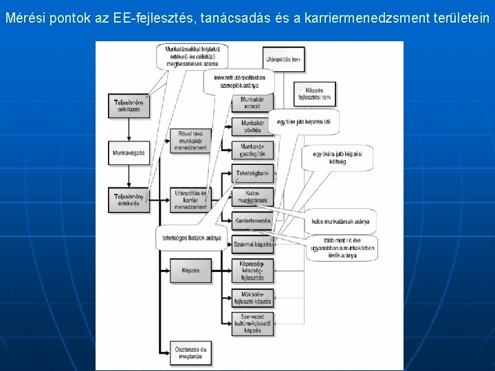 Mérési pontok az EE-fejlesztés, tanácsadás és a karriermenedzsment területein 