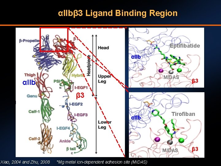 αIIbβ 3 Ligand Binding Region Eptifibatide αIIb MIDAS αIIb β 3 αIIb Tirofiban MIDAS