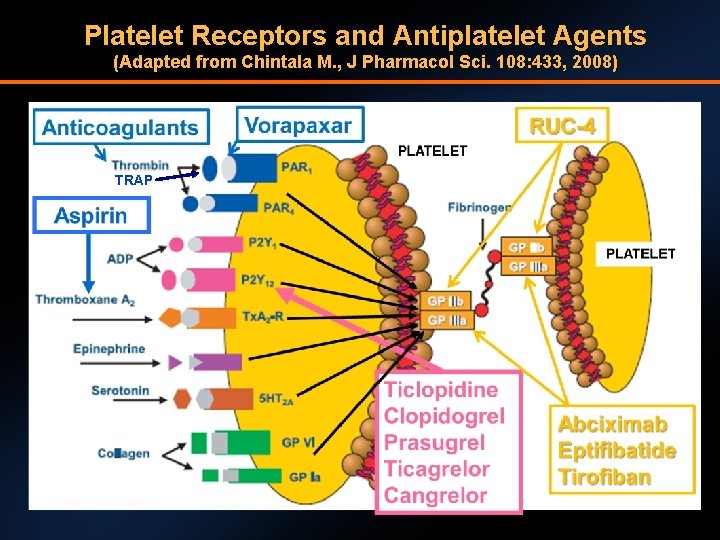 Platelet Receptors and Antiplatelet Agents (Adapted from Chintala M. , J Pharmacol Sci. 108: