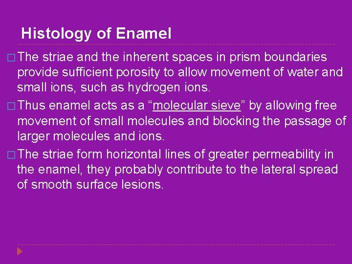 Histology of Enamel � The striae and the inherent spaces in prism boundaries provide