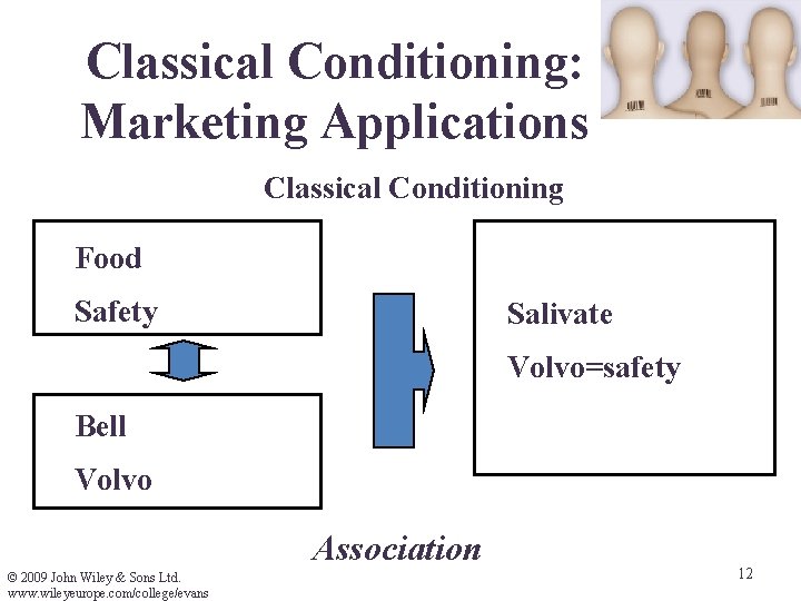 Classical Conditioning: Marketing Applications Classical Conditioning Food Safety Salivate Volvo=safety Bell Volvo Association © Classical Conditioning: Marketing Applications Classical Conditioning Food Safety Salivate Volvo=safety Bell Volvo Association ©