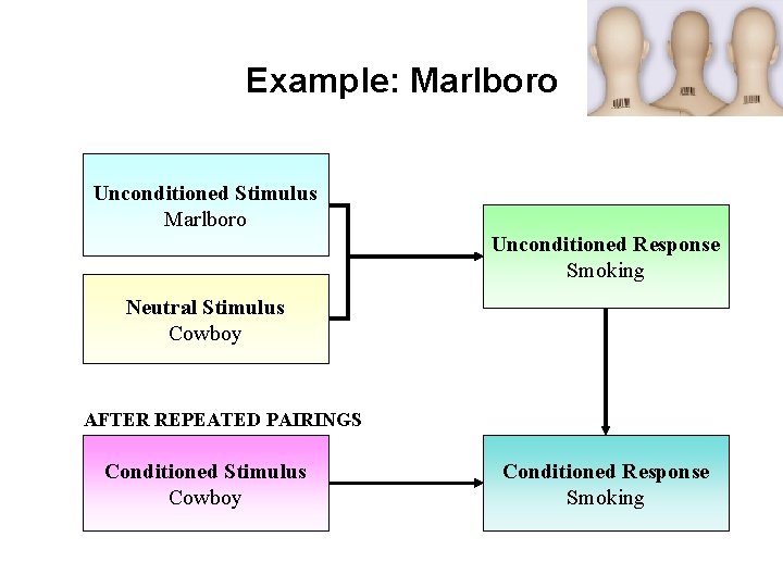 Example: Marlboro Unconditioned Stimulus Marlboro Unconditioned Response Smoking Neutral Stimulus Cowboy AFTER REPEATED PAIRINGS Example: Marlboro Unconditioned Stimulus Marlboro Unconditioned Response Smoking Neutral Stimulus Cowboy AFTER REPEATED PAIRINGS