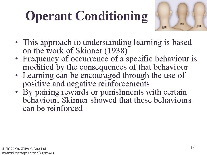 Operant Conditioning • This approach to understanding learning is based on the work of Operant Conditioning • This approach to understanding learning is based on the work of