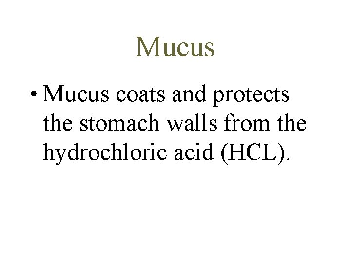Mucus • Mucus coats and protects the stomach walls from the hydrochloric acid (HCL).