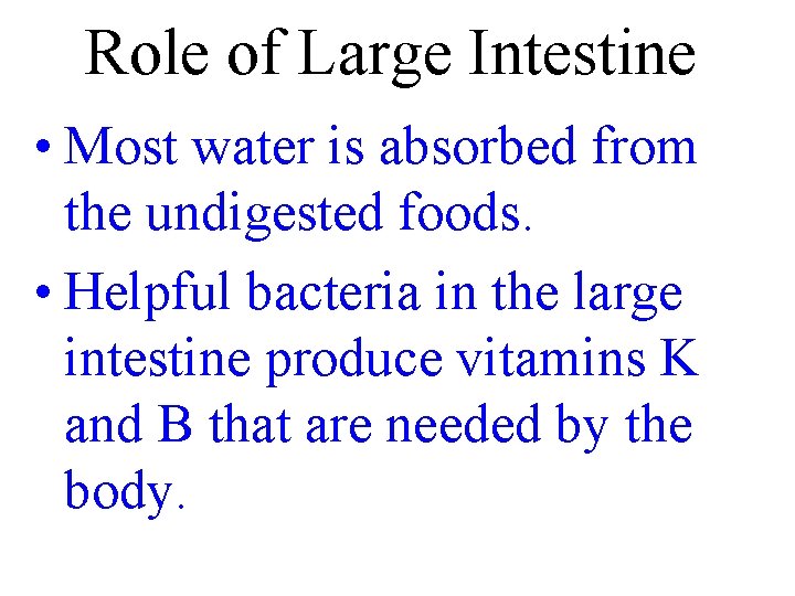 Role of Large Intestine • Most water is absorbed from the undigested foods. •